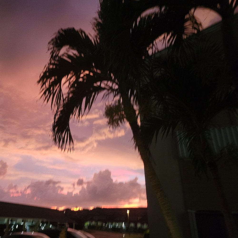 Meet your Posher, Cynthia a/k/a "Palms"